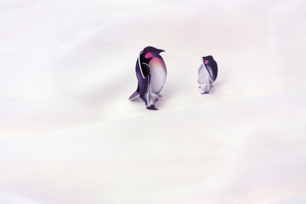 hejregina pingvin3